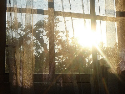 soleil traversant fenêtre avec rideau transparent